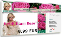Heidi Klum Rose&reg;